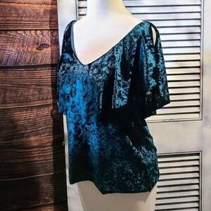 NWT Chelsea28 Med Green Velvet Blouse